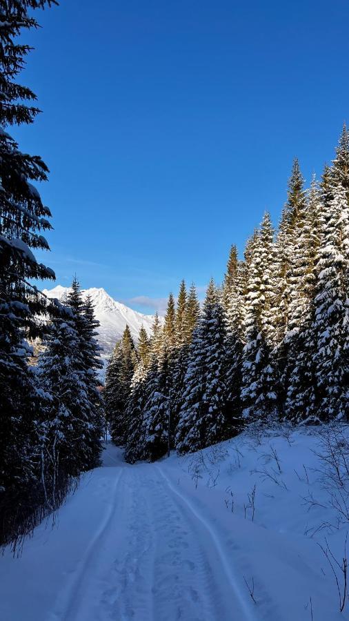 Appartamento Face Of North Gratangen Esterno foto