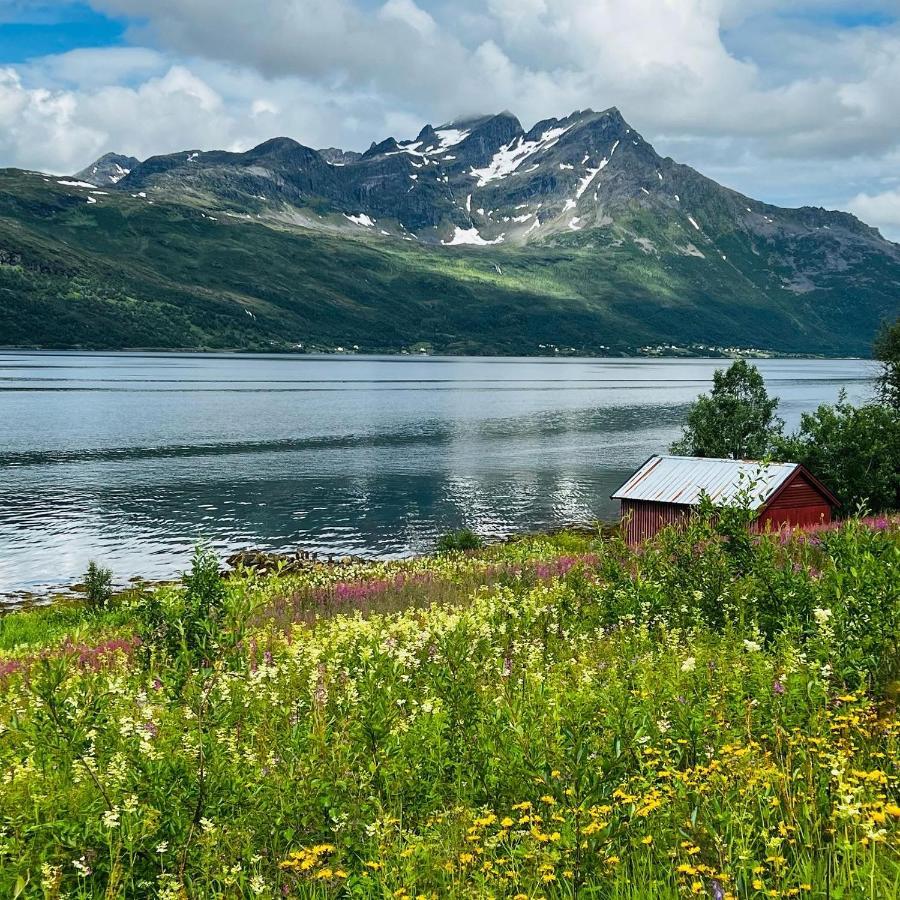 Appartamento Face Of North Gratangen Esterno foto