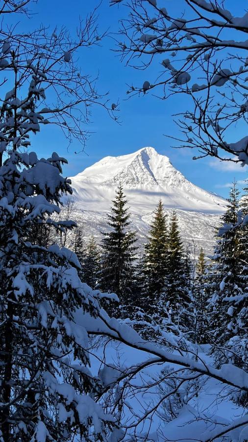 Appartamento Face Of North Gratangen Esterno foto