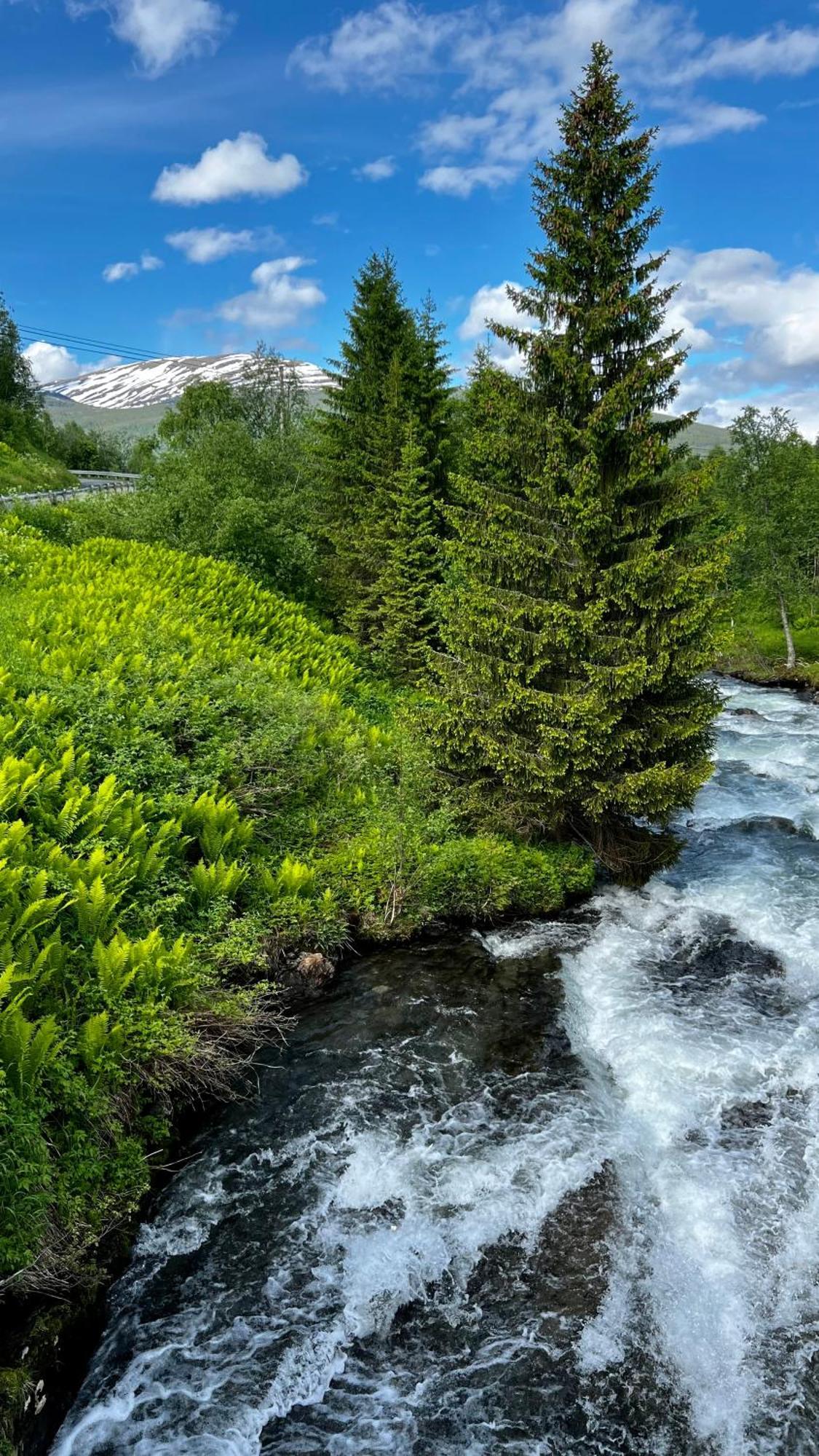 Appartamento Face Of North Gratangen Esterno foto